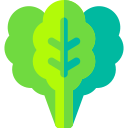 vegetal icon