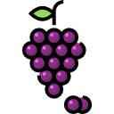 uvas icon