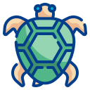 tortuga icon