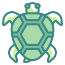 tortuga icon