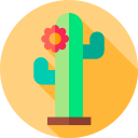 cactus icon