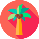 Árbol de coco icon