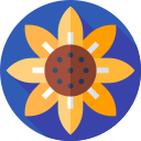 girasol icon