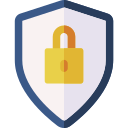 seguridad icon