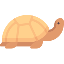 tortuga icon