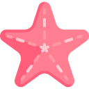 estrella de mar