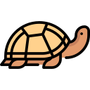 tortuga