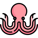 pulpo