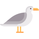 gaviota icon