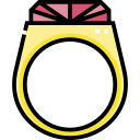 anillo icon