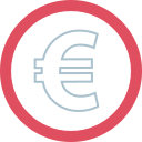 euro icon