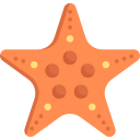 estrella de mar 