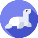 león marino icon