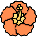 hibisco icon