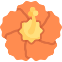 hibisco icon