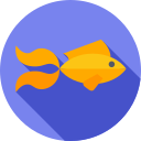 pez betta icon