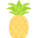 piña icon