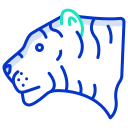 tigre icon