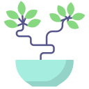 bonsai icon