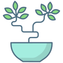 bonsai icon