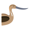 avoceta icon