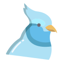 pájaro icon