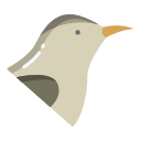 pájaro