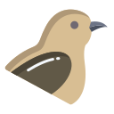 pájaro icon