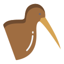 kiwi icon