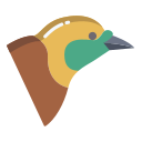 pájaro icon