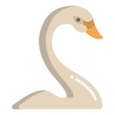 cisne icon