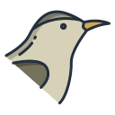 pájaro 