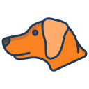 chien