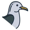 gaviota icon