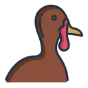 pavo icon