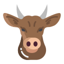 vaca