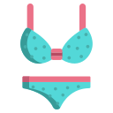 bikini icon