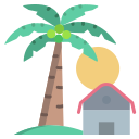 palmera