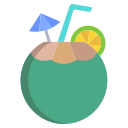 coco icon