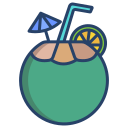 coco icon