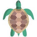 tortuga icon