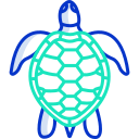 tortuga icon