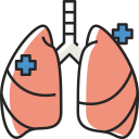 pulmones icon