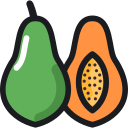 papaya icon