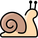 caracol