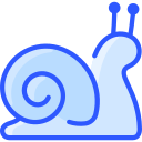 caracol