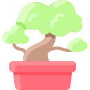 bonsai icon