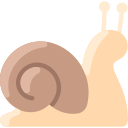 caracol icon