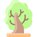 Árbol