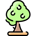 Árbol